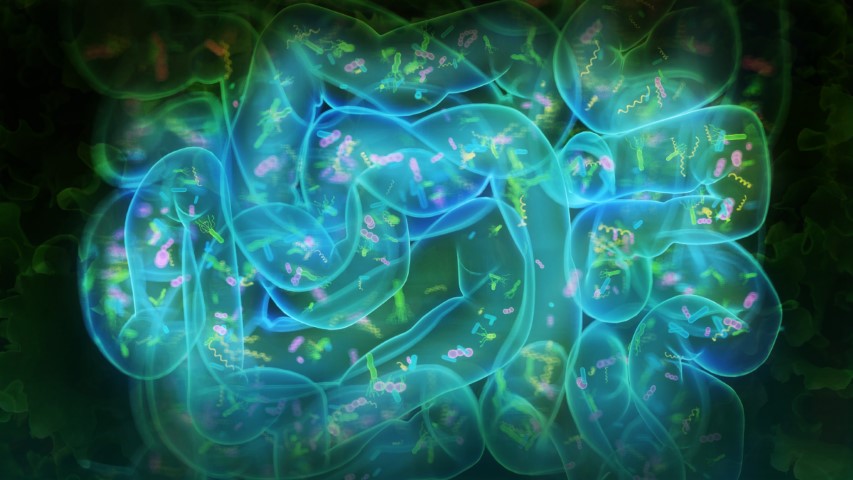 Anti-Parasitic