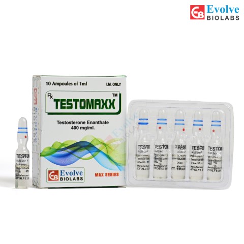 Testomaxx 400 MG 1 ml Ampoule