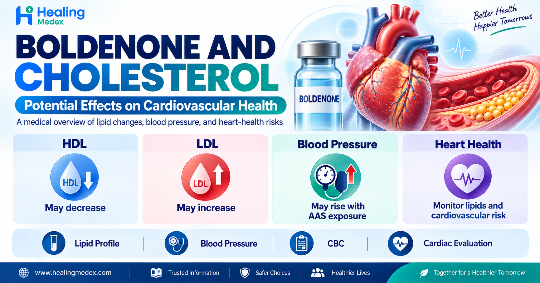 Boldenone and Cholesterol: Potential Effects on Cardiovascular Health