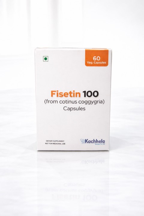 Fisetin 100 MG Capsule