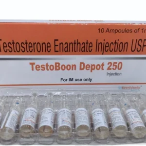 TestoBoon Depot 250mg
